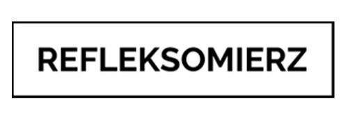 logo-relfex-2